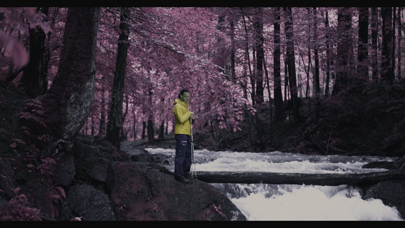 Matched frame rendered through Lacerta false-color infrared.