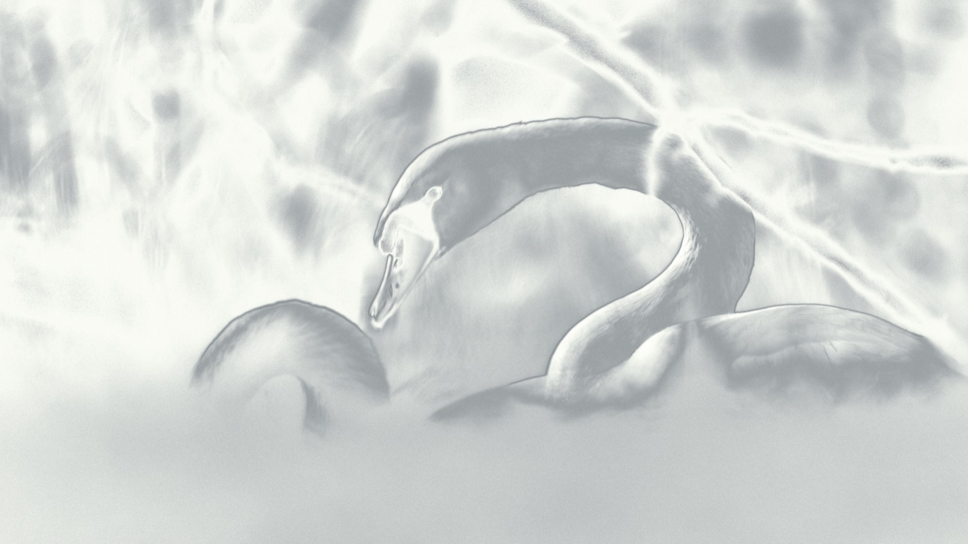 Matched frame solarized in Lacerta.